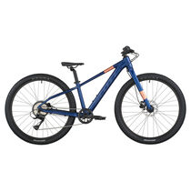 Scott Scale 600 clematis blue