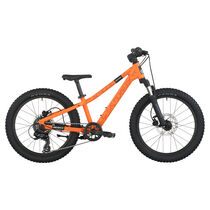 Scott Roxter 200 vibrant orange